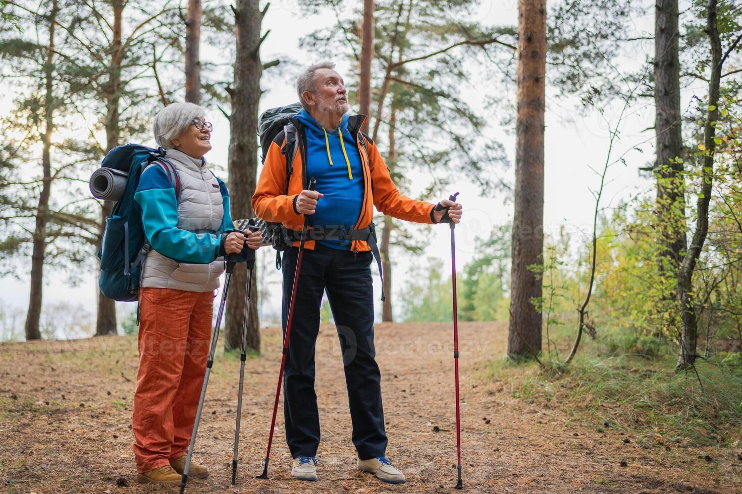 Senior couple hiking outdoors (illustrative lifestyle photo).