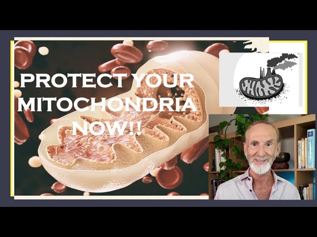 Video thumbnail: MITOCHONDRIAL HEALTH: The Key to Aging and Chronic Disease