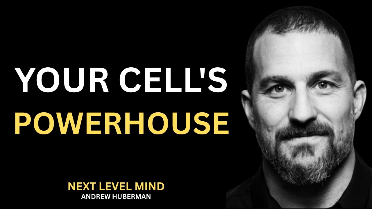 Video thumbnail: Mitochondria Explained: The Ancient Powerhouses Inside Your Cells