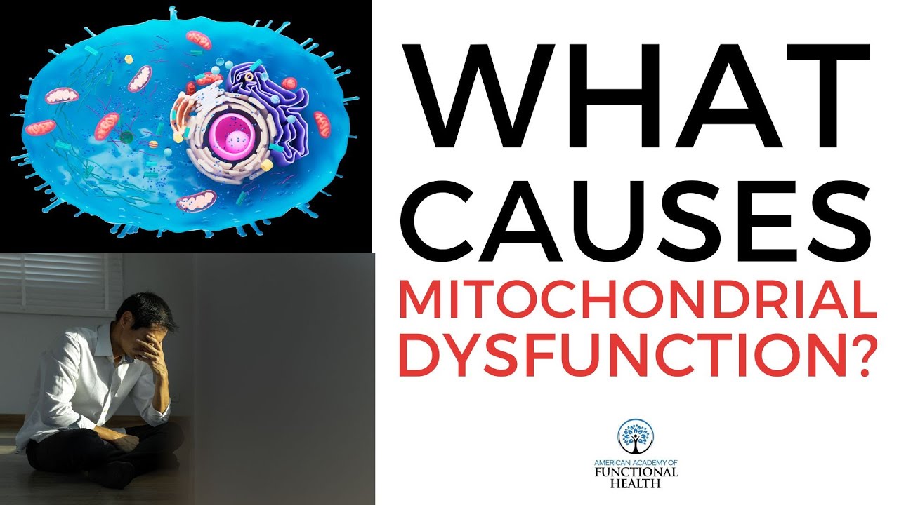 Video thumbnail: What Causes Mitochondrial Dysfunction?