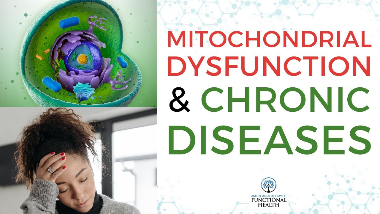 Video thumbnail: Mitochondrial Dysfunction: A Hidden Cause for Many Chronic Diseases