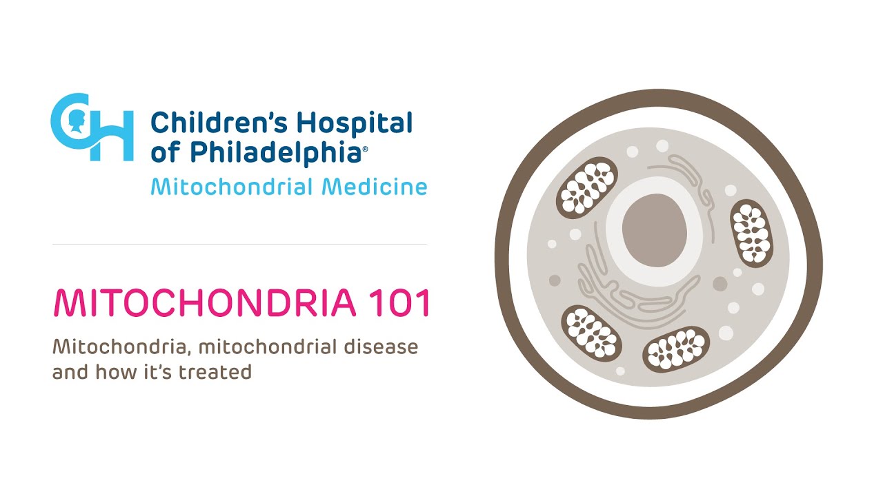 Video thumbnail: Explaining Mitochondrial Disease