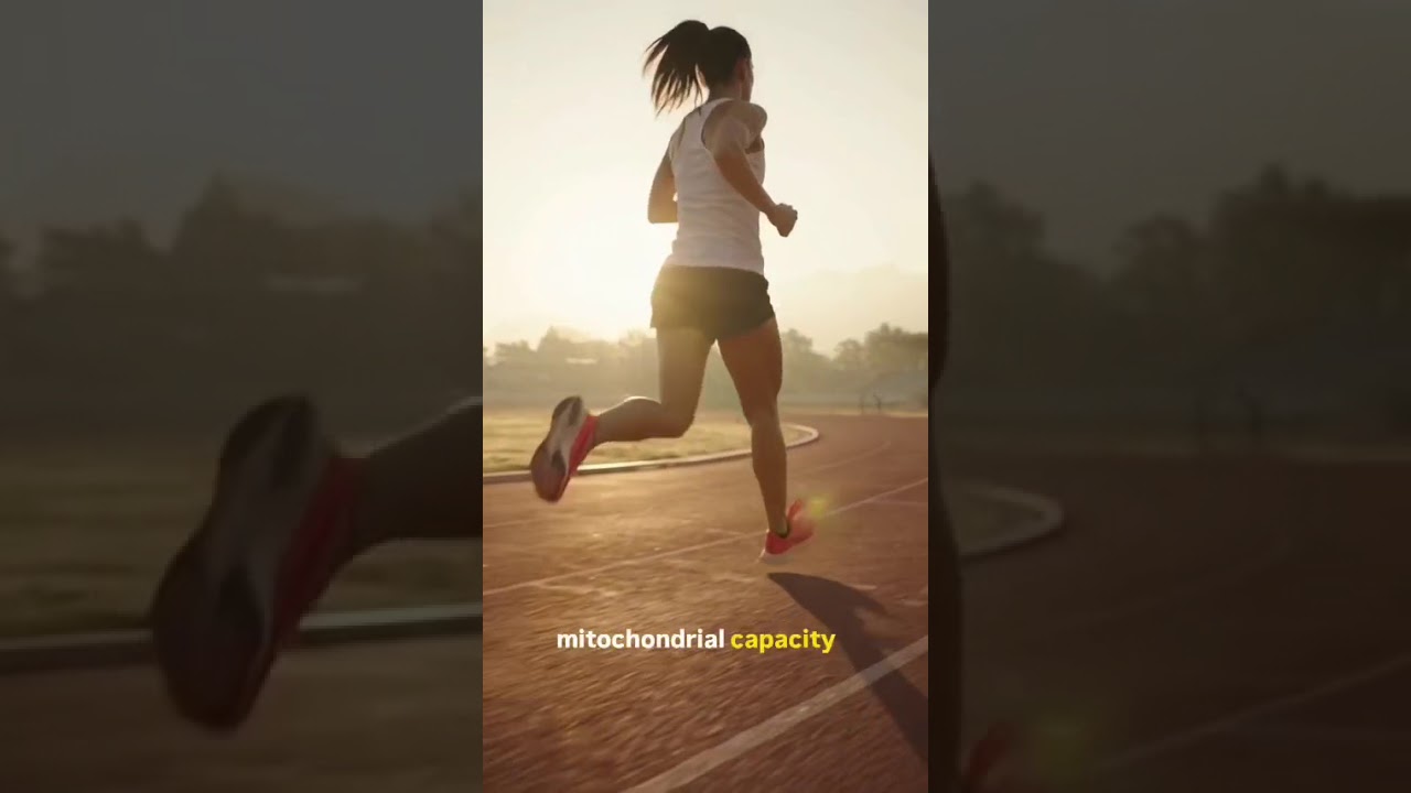 Video thumbnail: What Are Mitochondria? Your Cell’s Powerhouse Explained ⚡
