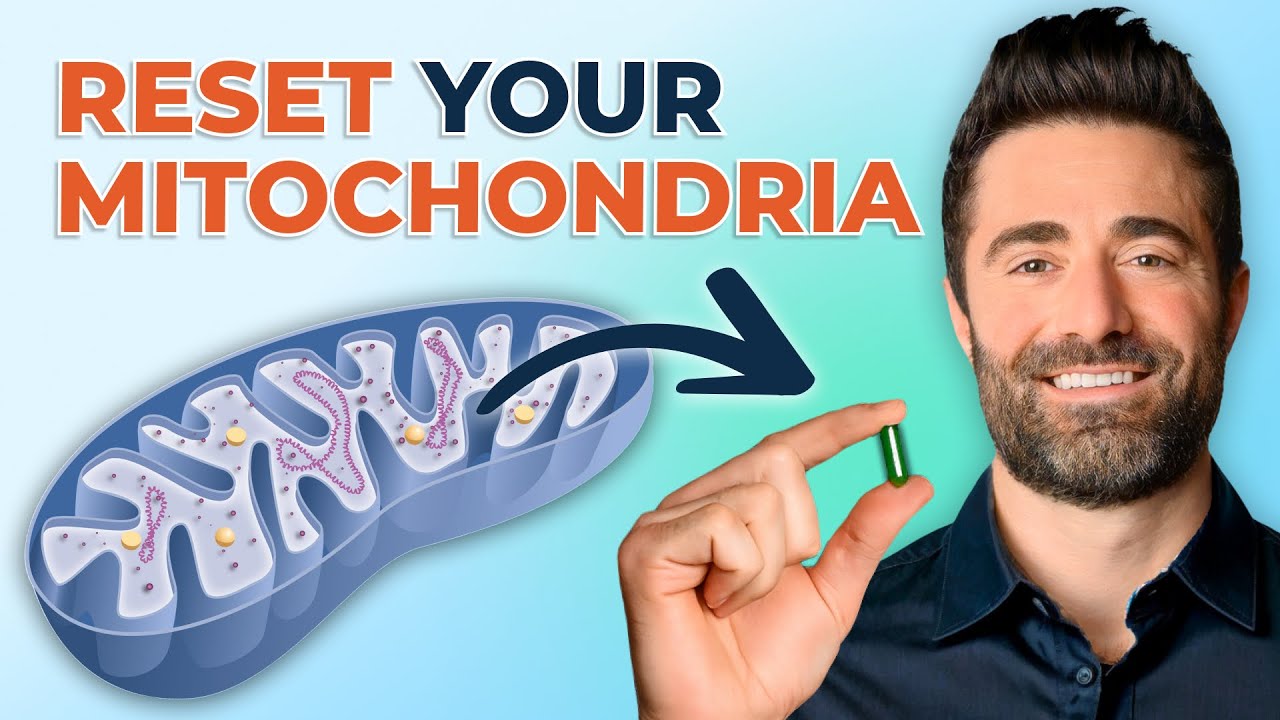 Video thumbnail: Experts Share Top Treatments For Mitochondrial Health & Longevity