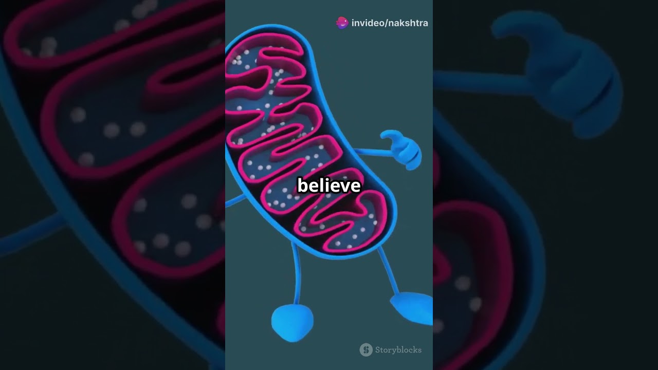 Video thumbnail: mitochondria explained