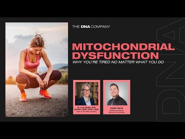 Video thumbnail: Mitochondrial Dysfunction: Why You're Tired No Matter What You Do