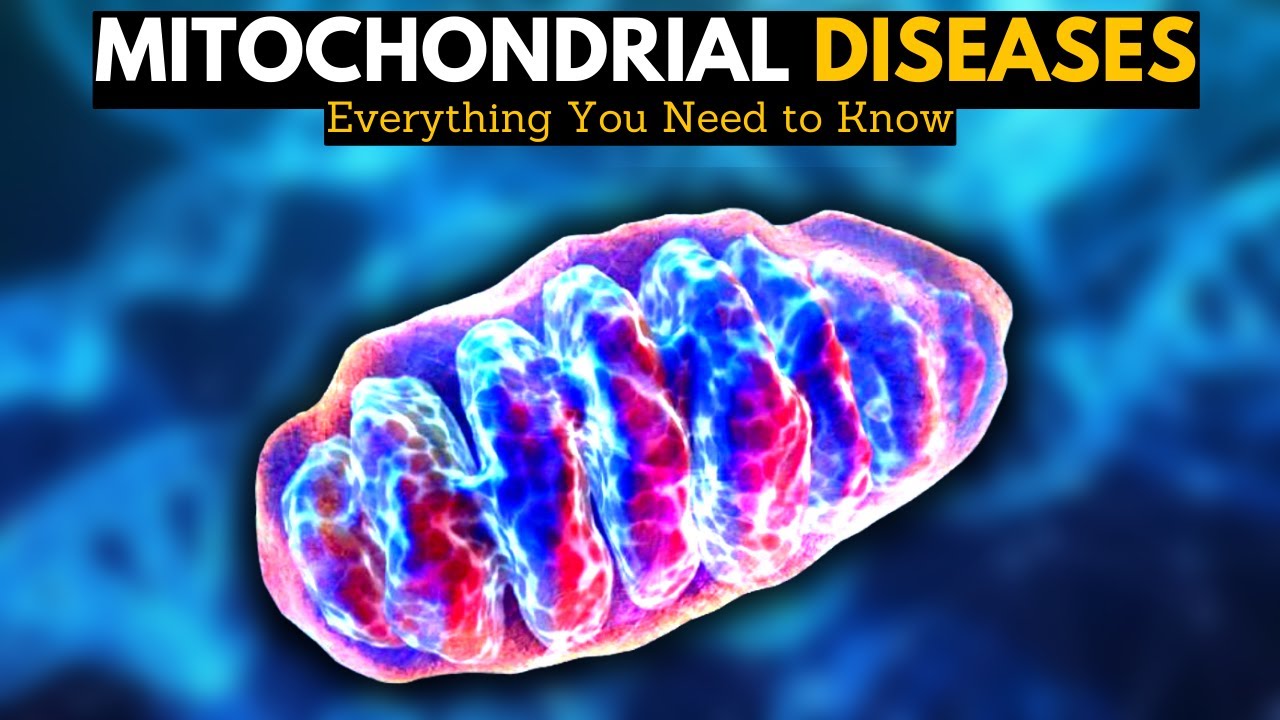 Video thumbnail: Mitochondrial Diseases: Everything You Need to Know