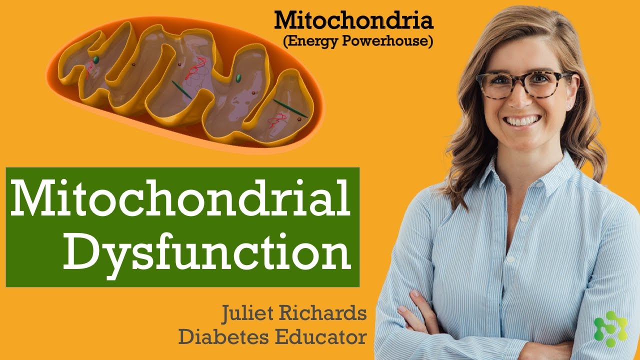 Video thumbnail: Mitochondrial Dysfunction